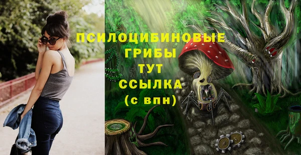 прущие крисы Белоозёрский