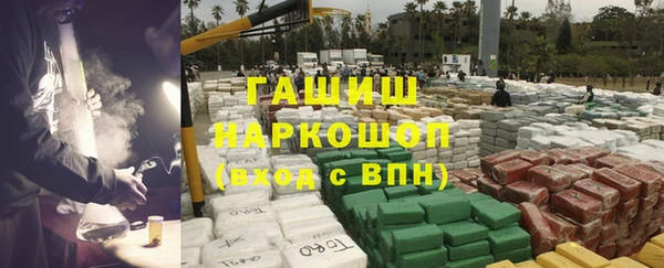 дмт Бородино