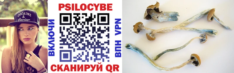 Псилоцибиновые грибы GOLDEN TEACHER  дарнет шоп  Ижевск 